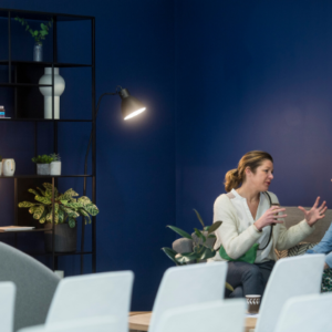Location Salle Apaisante Pour Des Réunions à L'Embarcadere Lyon
