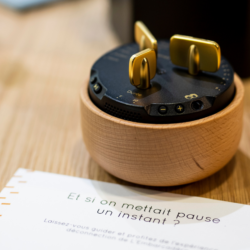 Location salle apaisante pour des réunions à L'Embarcadere Lyon